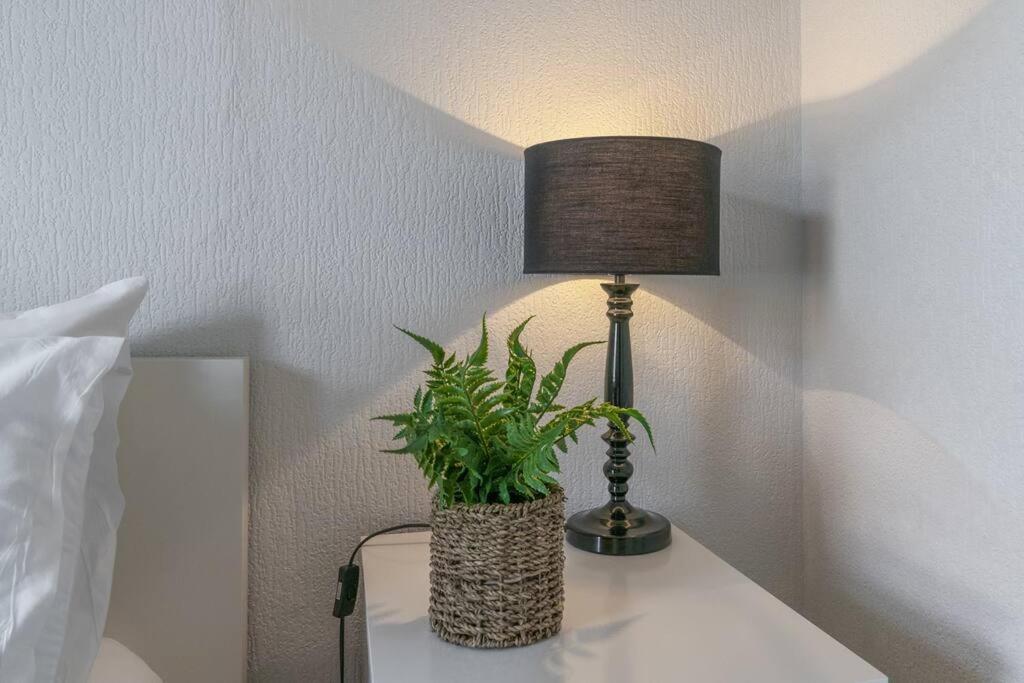 Cosy 2 Bedroom Town House Close To City Centre Belfast Buitenkant foto